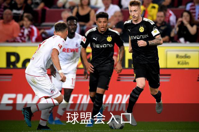 球盟会入口公司简介